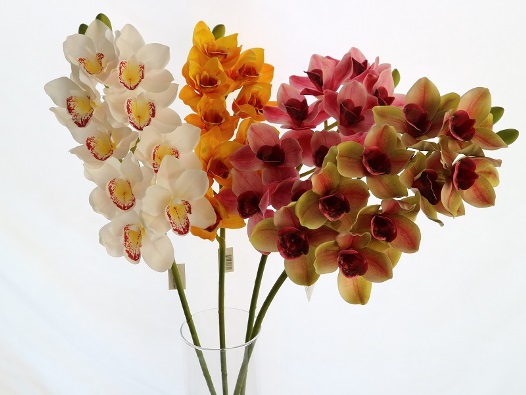 HASTE CIMBIDIUM GD TOQ NAT  85CM